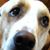 Myrna Rybczyk's profile image