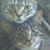 Tim Bundy's profile image