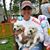 Vivian Aviles Hirsch's profile image