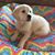 Becky D.'s profile image