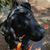 J.r. Alderton's profile image