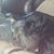 M'Liss Bezanson-Hill's profile image