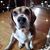 Kathy Nielsen's profile image
