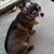 Gina Riddle Cote's profile image