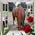 Melvin N Terri's profile image