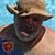 Jack P Murdock's profile image