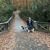 Lisa Nelson Byers's profile image