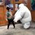Shayla Marie Bearss's profile image