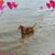 Sandra Lyell's profile image