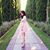 Alison Jeanine Lewis's profile image