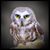 Elizabeth Whitgrove Schaedel's profile image
