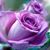 Kay Sheila's profile image