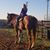 Melody Berend Davis's profile image