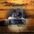 Christopher Sheldrick's profile image