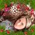 Amy Nelson's profile image