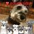 Pam Schramm's profile image