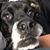 Ron Brown's profile image