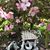 Betty Campbell's profile image