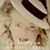 Llewellyn Phillips's profile image