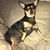 Jodi Richardson's profile image