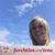 Alexandra Anderson's profile image