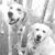Linda Dempsey's profile image