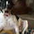 Sherry Byers's profile image