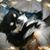 Sheila Carlson's profile image
