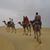 Anne Goodenow White's profile image