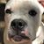 Randy Brannon's profile image
