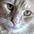 Tracy Shaw's profile image