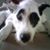 David McMath's profile image