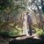 Alicia Phillips Roper's profile image