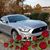 Tammy Allison Miller's profile image