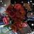 Judy Owens's profile image