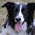 Karen Kaehler's profile image