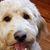 Lisa Harbour Weibel's profile image