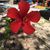 Lorraine Longo's profile image
