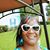 Yvette Young's profile image