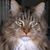 Tracy Pardina's profile image