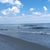 Paula Kring's profile image
