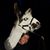Michele Richey's profile image