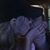 Derick N Kathy Pohle's profile image