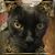 June Bowers Paxton's profile image