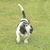 Paula Hagan Reynolds's profile image