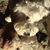 Susie Mathews's profile image