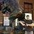 Scott Balcerak's profile image