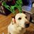 James Geogold Lyman's profile image