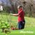 Betty Ann Falkner's profile image
