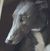 Susan Barnett-Kiengsiri's profile image